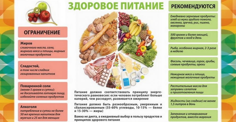 Рецепты здорового питания - рецепты с фото и видео на l2luna.ru