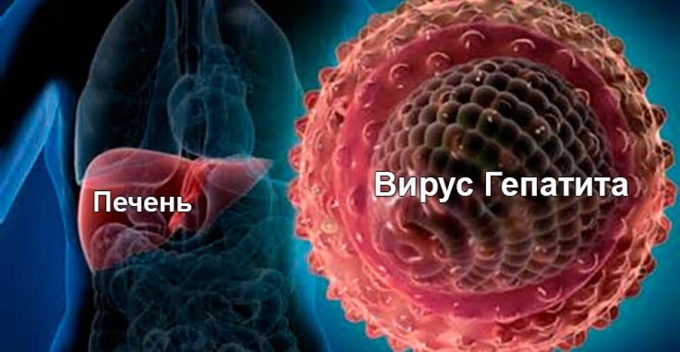 Гепатит C